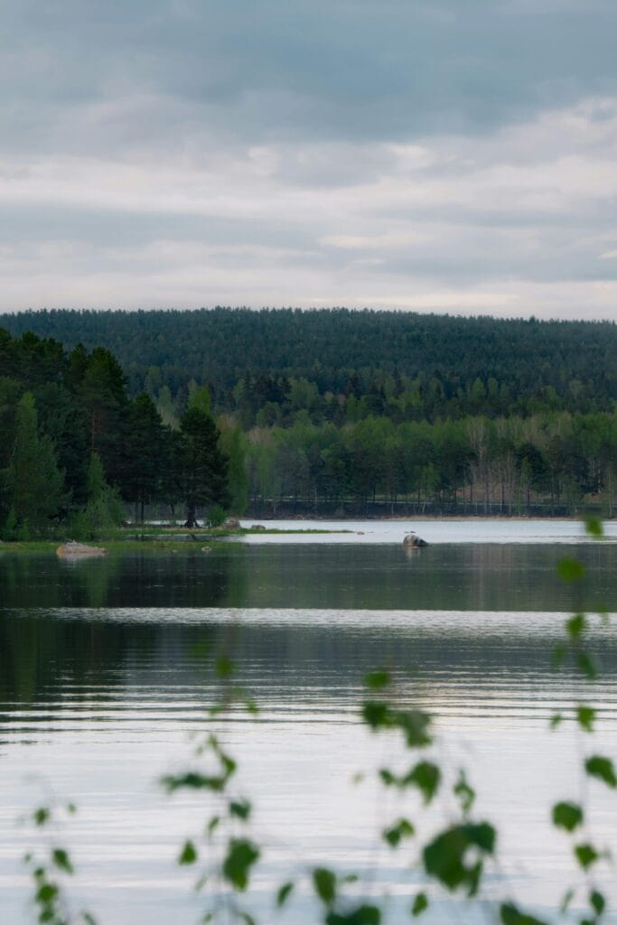 Blodprov i Dalarnas län
